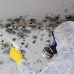 Main causes of Mold in homes | D-Mac Restoration Inc