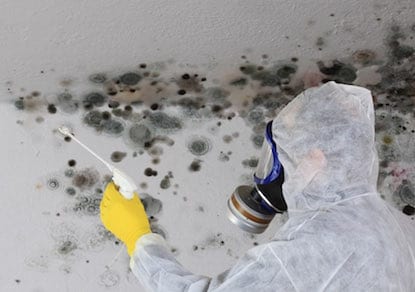 Main causes of Mold in homes | D-Mac Restoration Inc