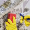 Mould removal gives your home a cleaner, healthier look D-mac Restoration